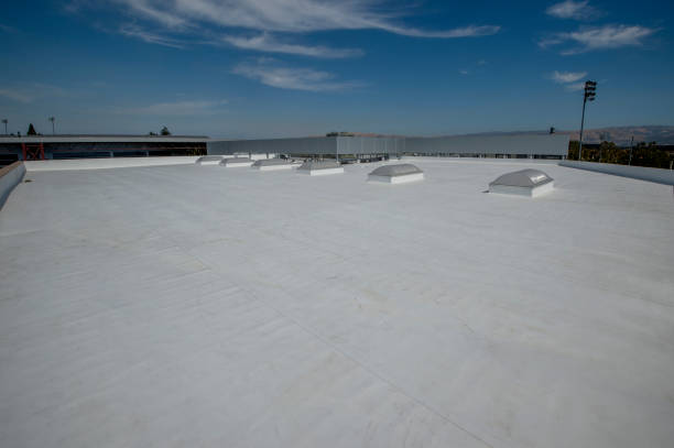 Best Asphalt Shingle Roofing  in St Andrews, SC