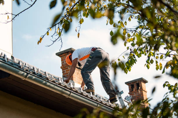 Best Chimney Flashing Repair  in St Andrews, SC