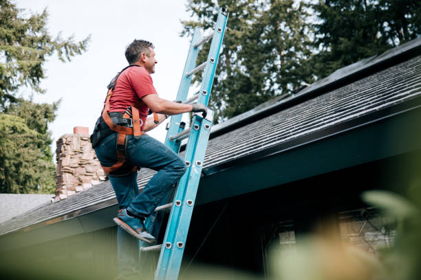 Best Roof Coating and Sealing  in St Andrews, SC
